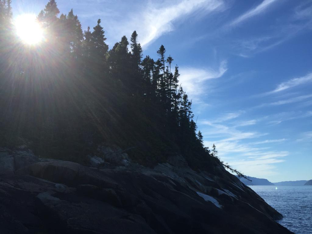 Residence Touristique Les Bouleaux Petit-Saguenay Dış mekan fotoğraf